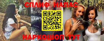 стафф Пенза