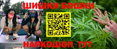 стафф Пенза